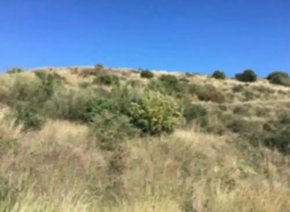 Terreni e lotti in vendita a Valtocado - La Alquería - La Atalaya, imagen 8