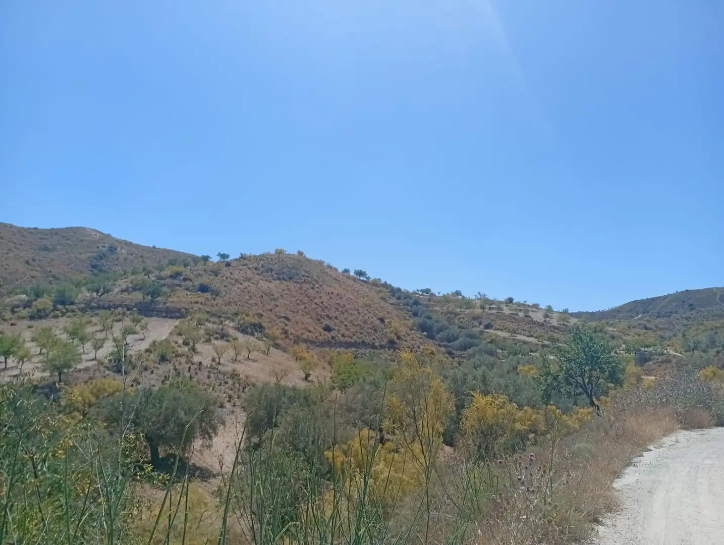 Rural land for sale in Lubrín, imagen 6