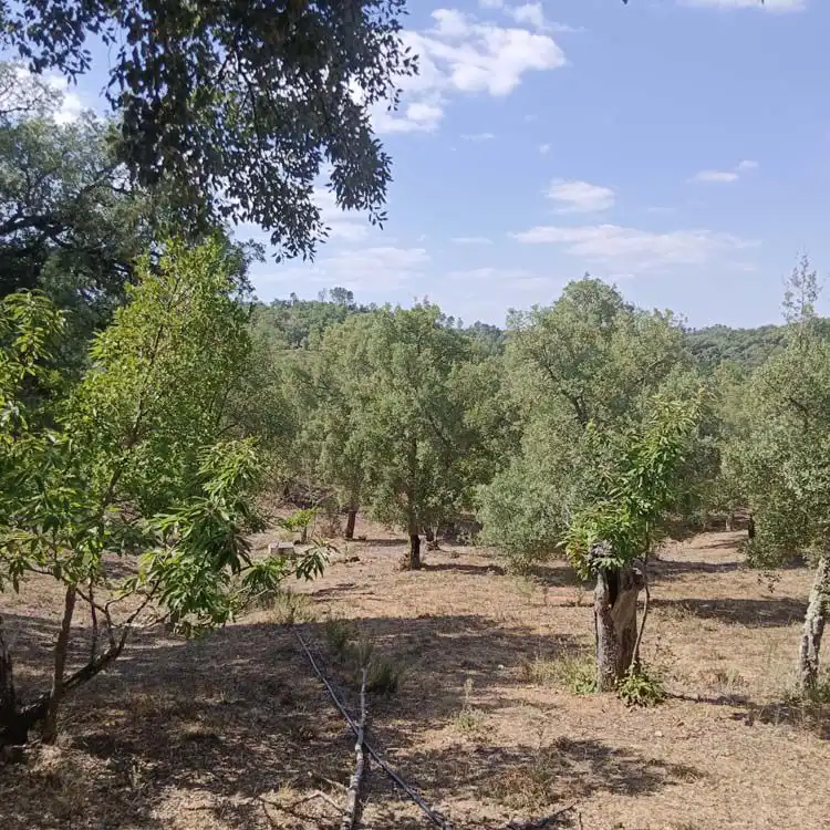 Casa rústica en venda a Fuenteheridos