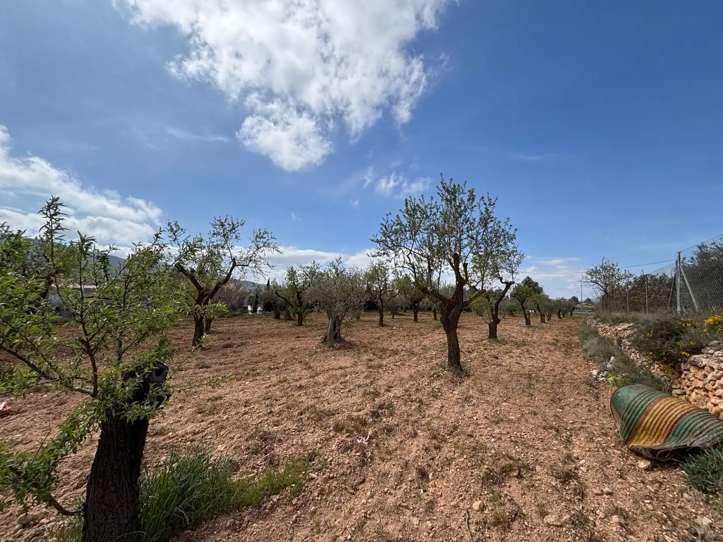 Terreno rústico en venta en CV-806, imagen 14