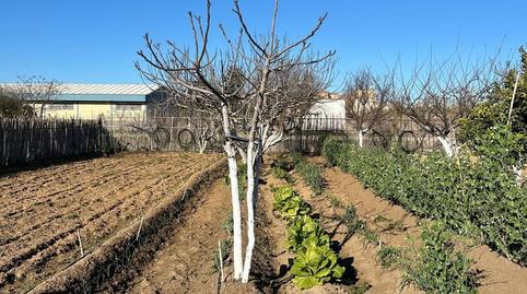 Photo 3 of Land for sale in Playa Cruz del Mar, Cádiz