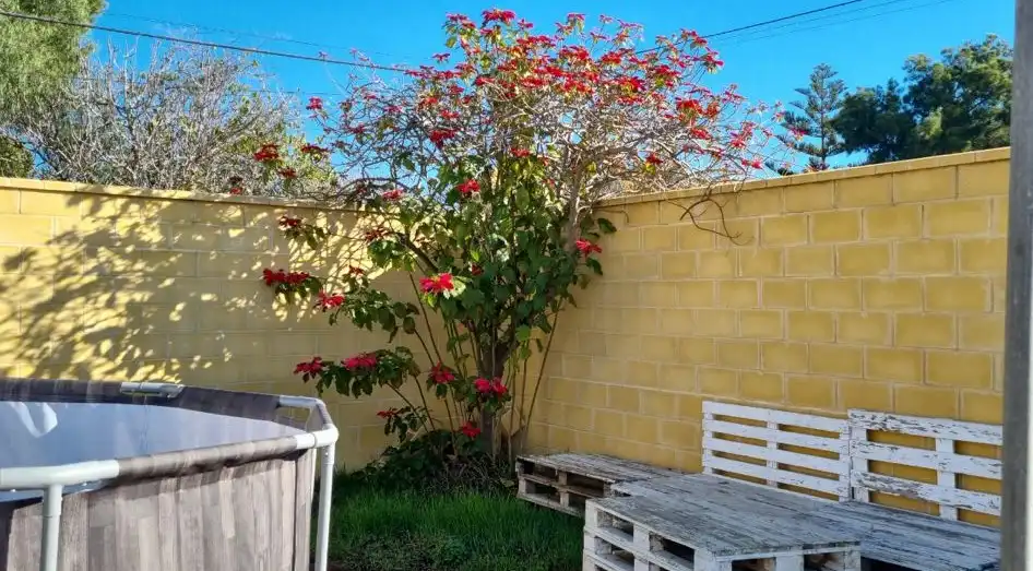 Jardín de Finca rústica en venta en Chipiona
