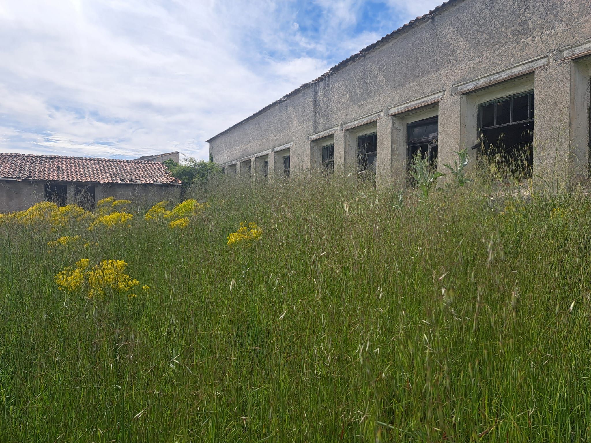 Exterior view of Residential for sale in Montemayor de Pililla