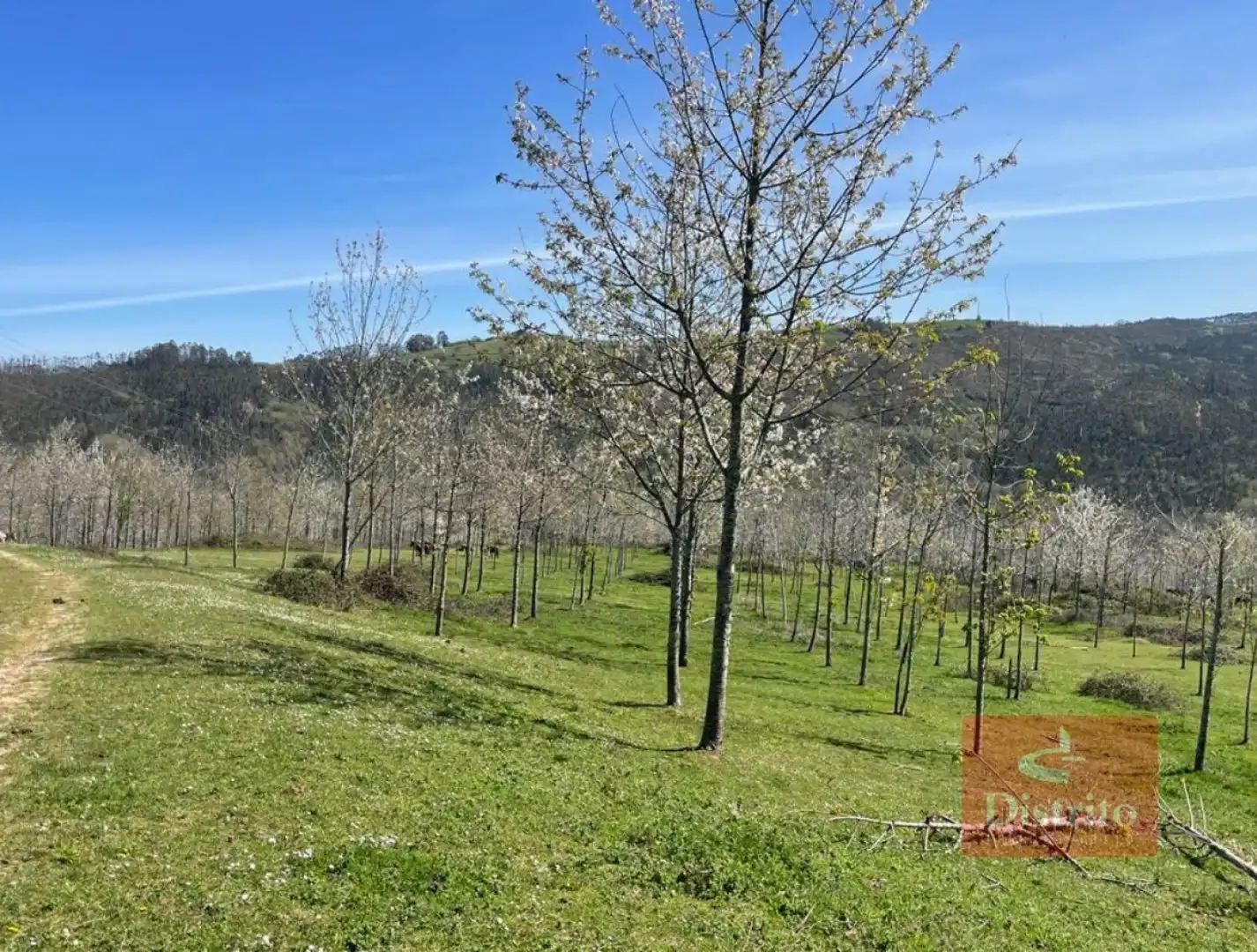Terreni e lotti in vendita a Valdáliga - barrio la herrería, imagen 7