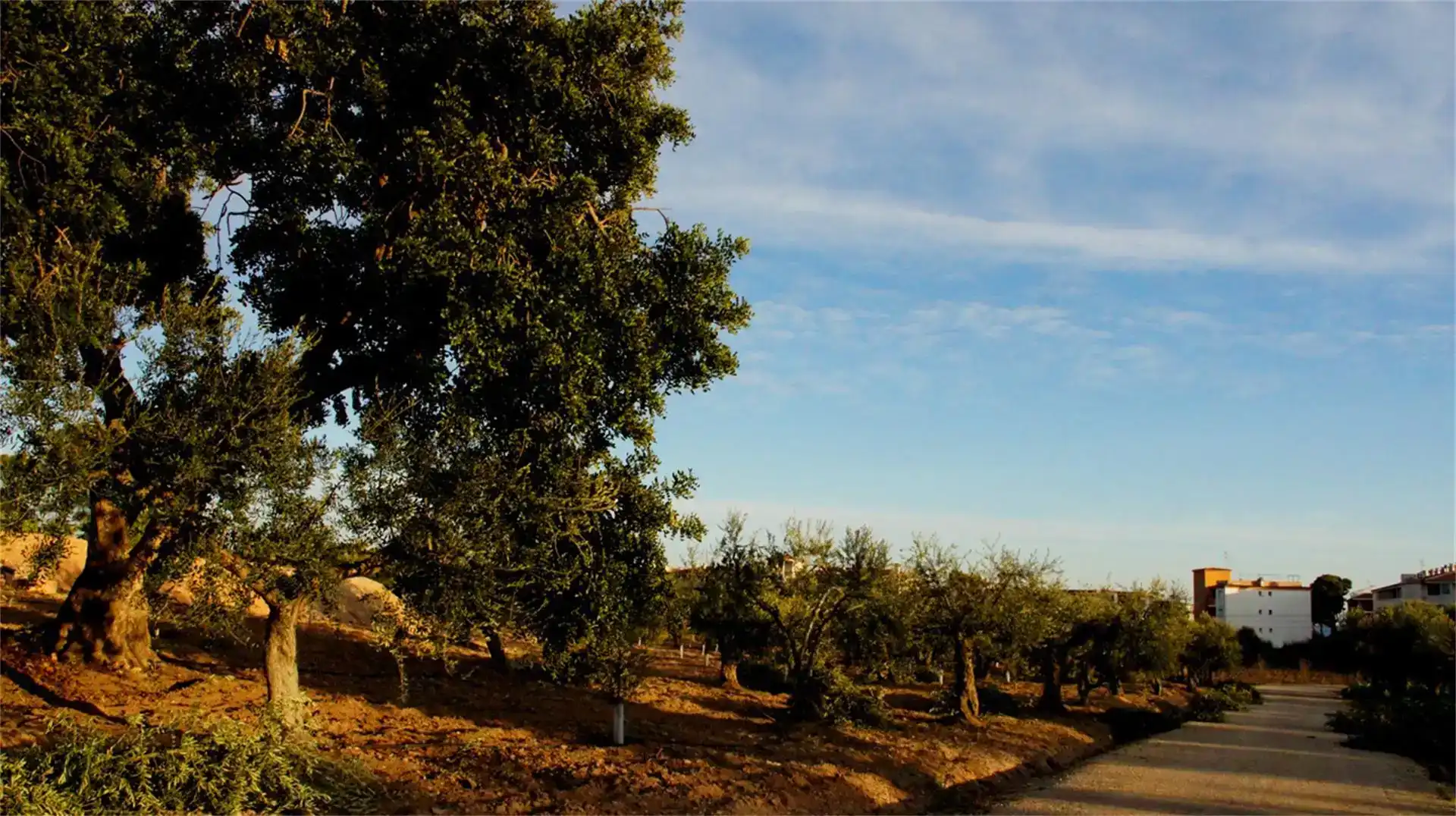 Exterior view of Land for sale in Cambrils