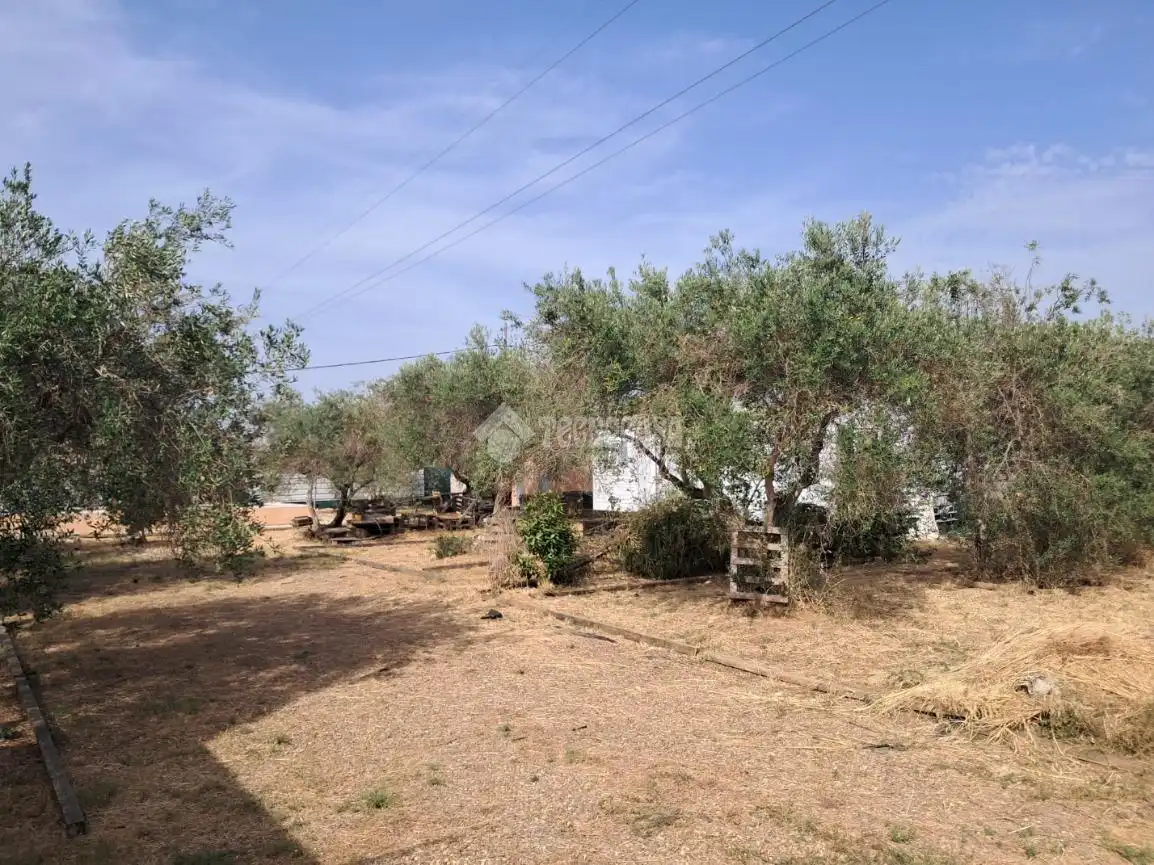 Finca rústica en venta en Carmona
