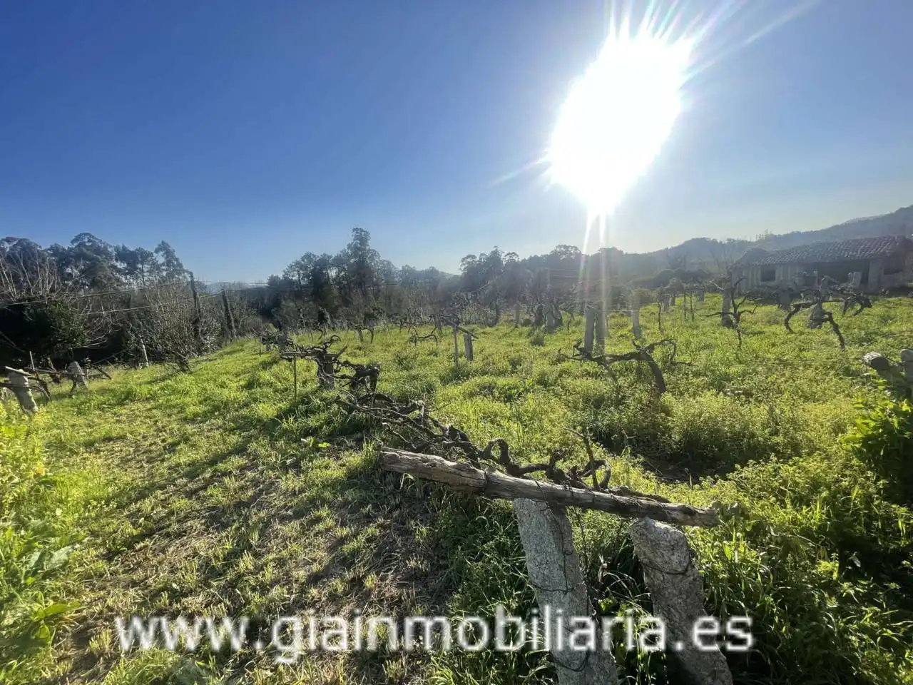 Casa con jardín en venta en Calle Xestal, imagen 34