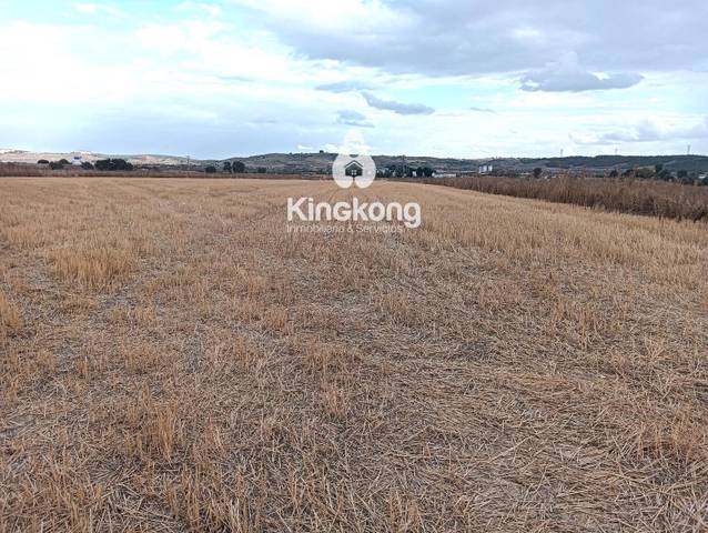 Terreno en Venta en Zona Industrial