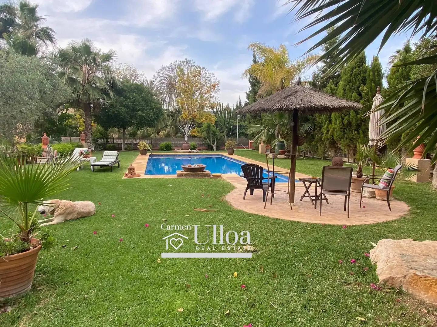 Jardí de Casa o xalet en venda en Alicante / Alacant amb Jardí privat, Terrassa i Traster