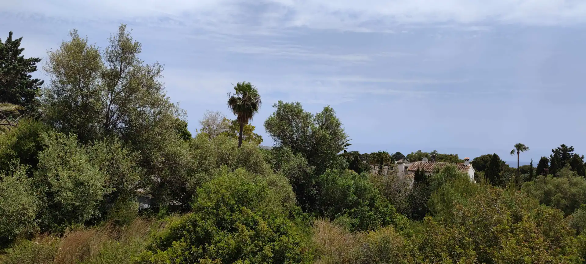 Terreno residencial en venta en Casco Urbano, imagen 2