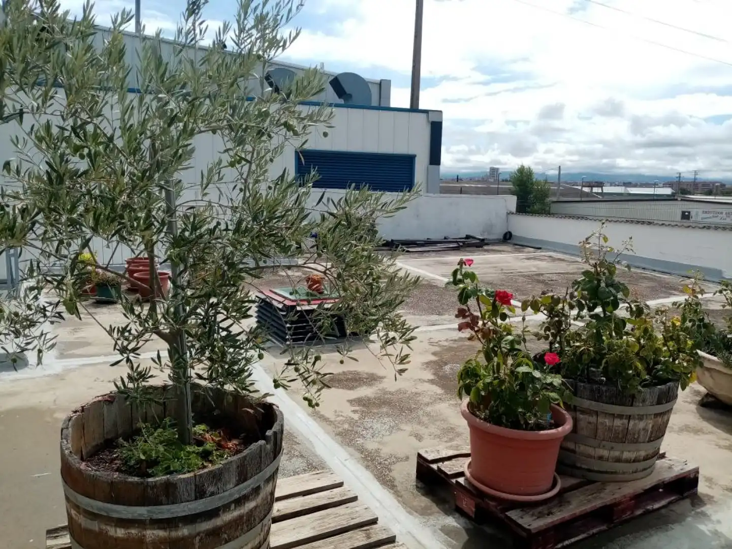 Terraza de Nave industrial de alquiler en  Logroño