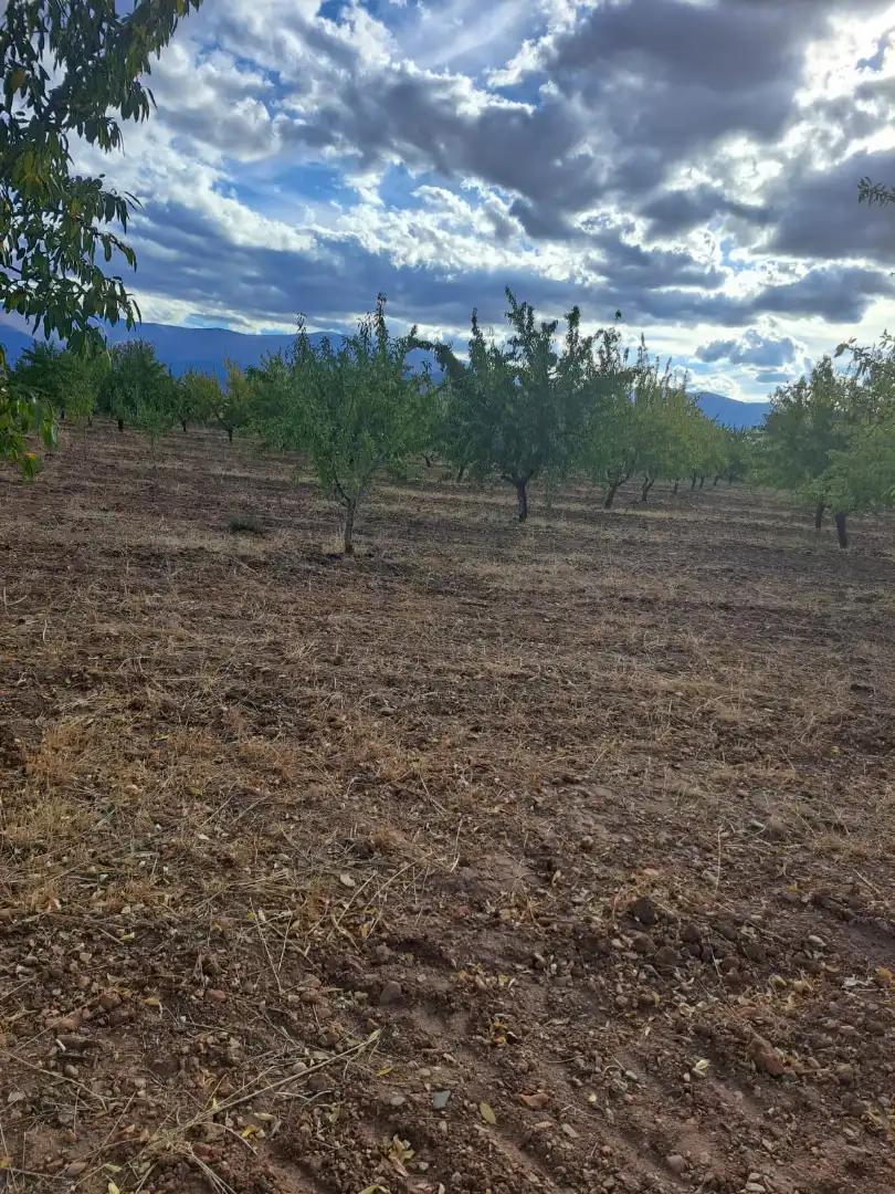 Rustikales Grundstück zum Verkauf in Guadix, imagen 4