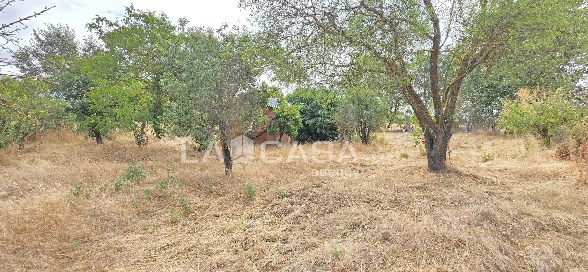 Residencial en venta en Meneses de Campos, Palencia