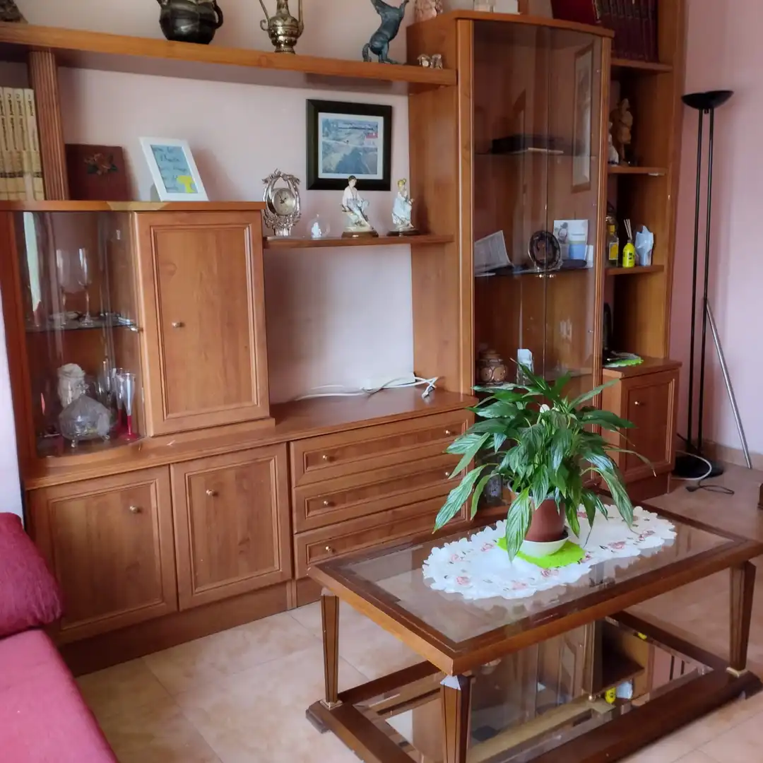 Living room of Flat for sale in  Logroño  with Furnished and Balcony
