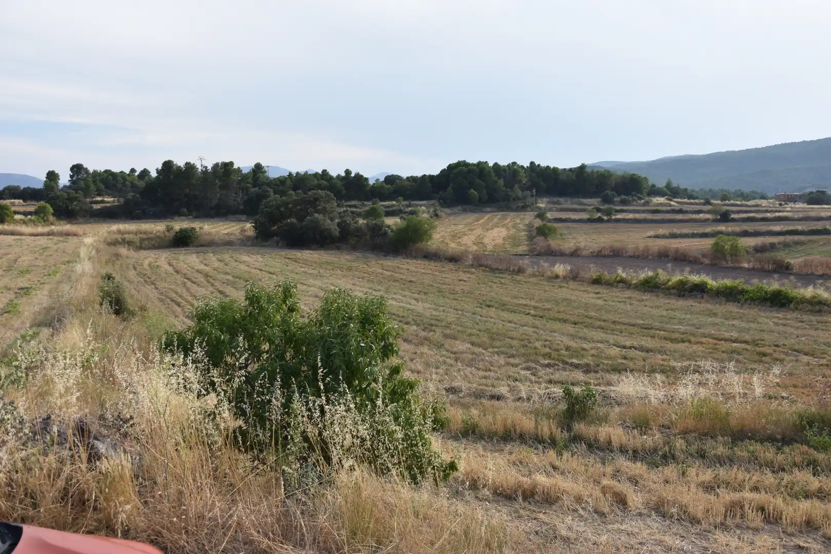 Terreni e lotti in vendita a Fuentespalda, imagen 4