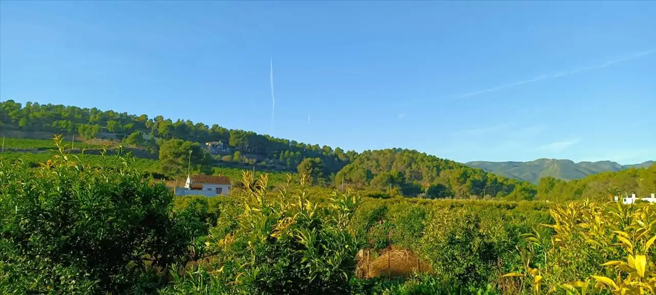 Exterior view of Land for sale in Torres Torres