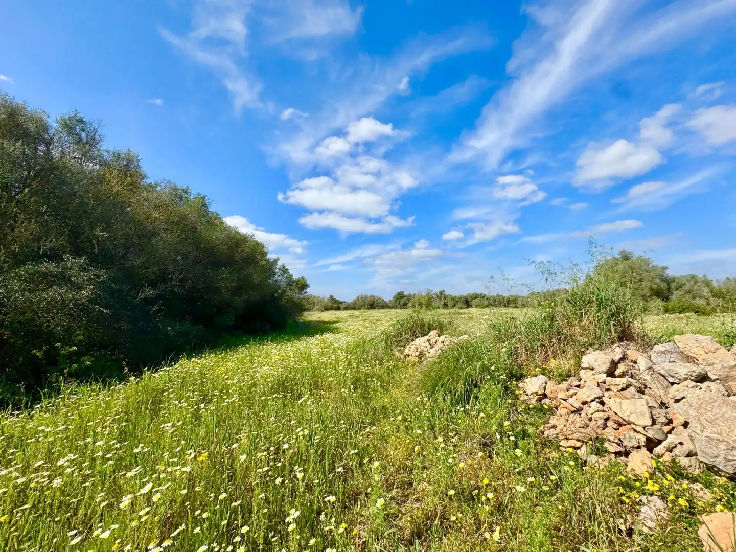 Residential land for sale in parcela 27 del polígono 22. Campos, imagen 11