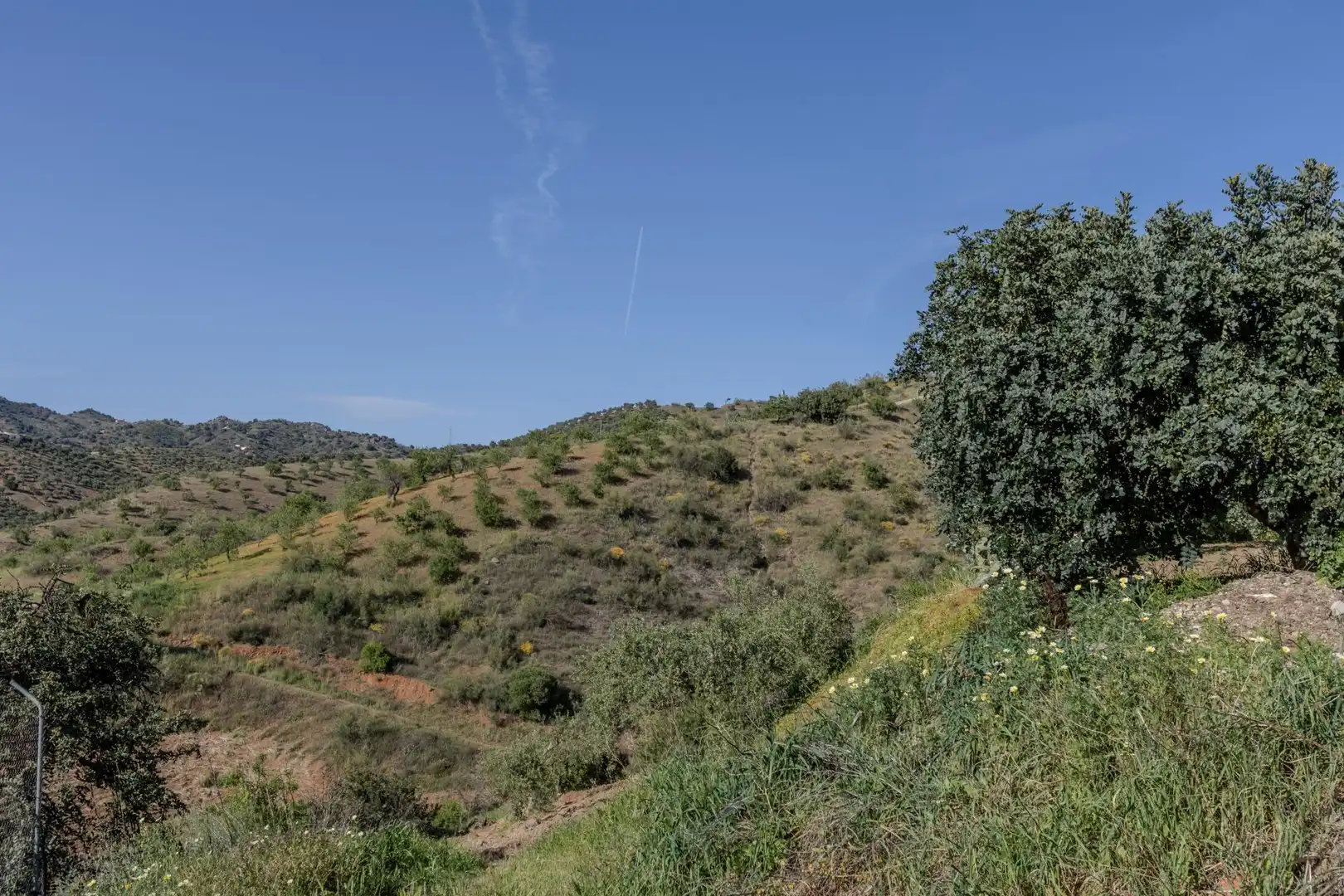 Houses for sale in Almogía
