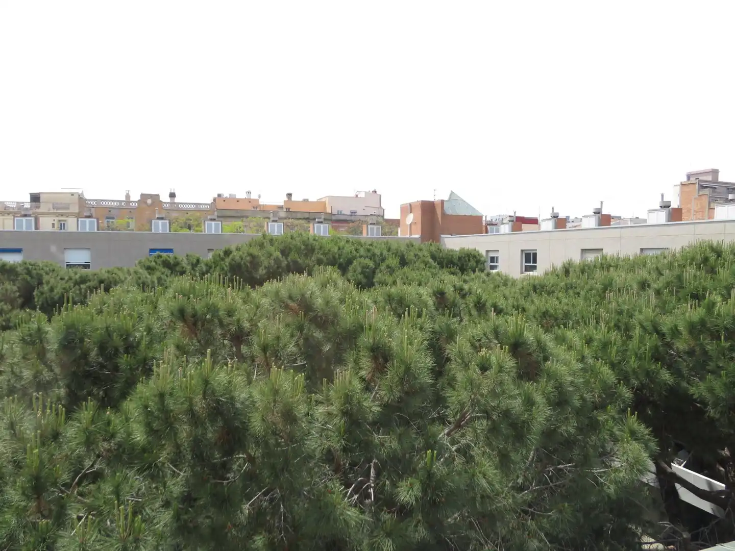 Dúplex en venda a Carrer GINEBRA, La Barceloneta
