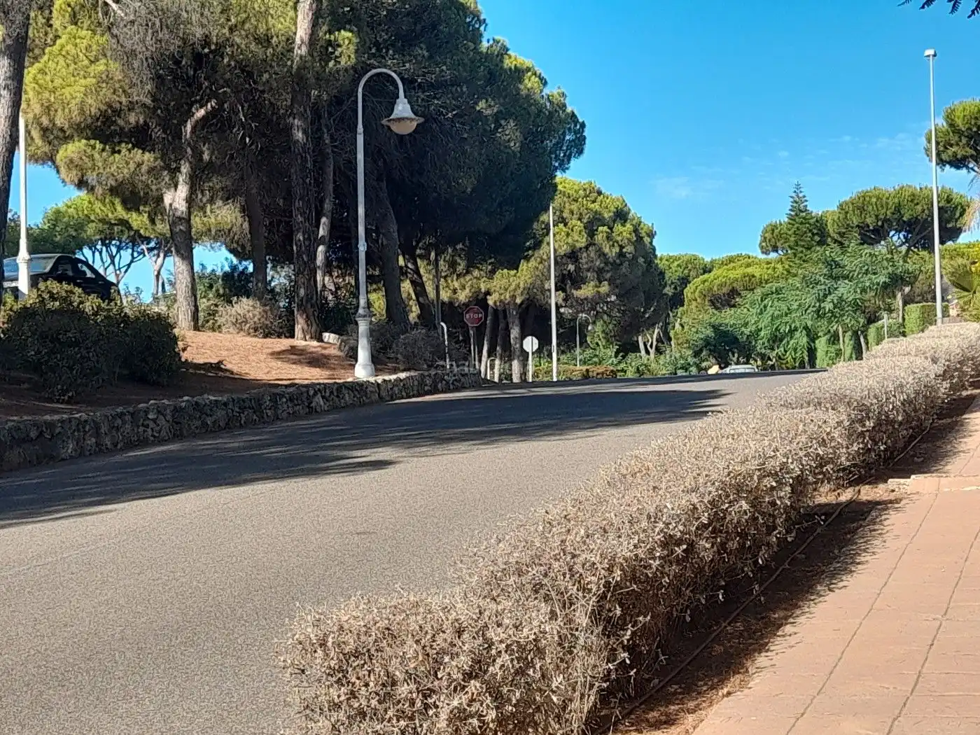 Terreny residencial en venda a Calle Díez de Solís 98, imagen 4