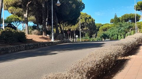Terreno lado playa, immagine 4