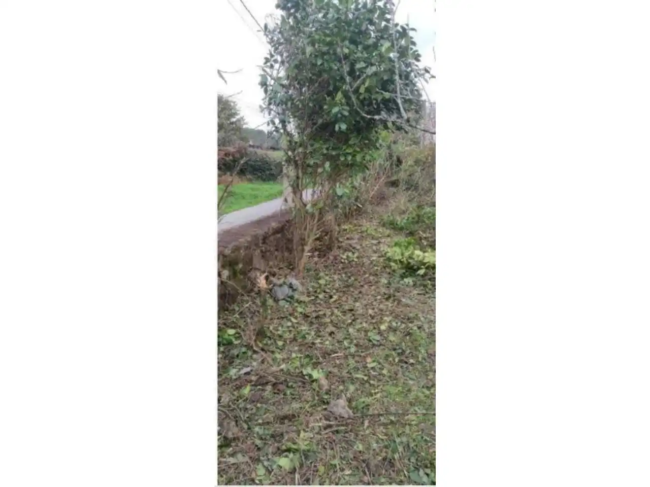 Terreny rústic en venda a Calle Lugar Barrabaite - Lamela 18, imagen 21