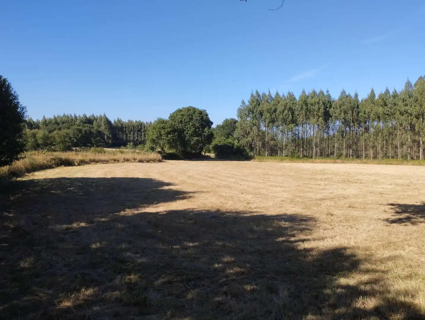 Terreni e lotti in vendita a Begonte, imagen 6