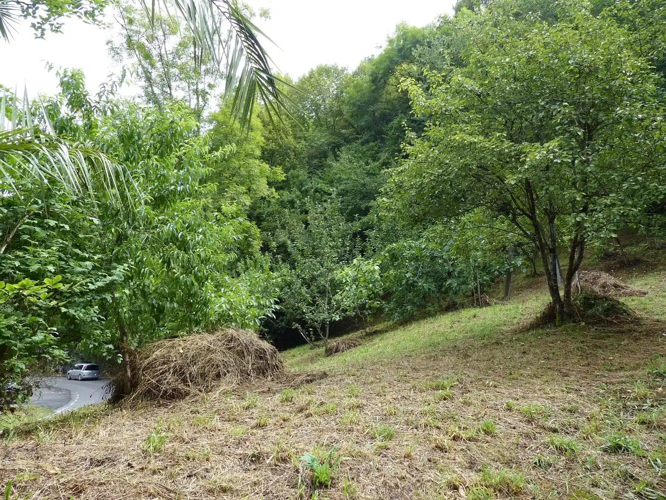 Casa con jardín en venta en Puente los Grazos, imagen 11