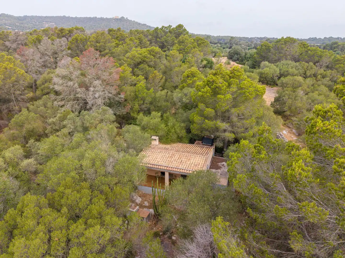 Vista exterior de Finca rústica en venda en Petra amb Jardí privat, Terrassa i Traster