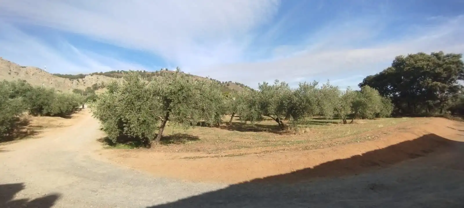 Casa rústica en venda a Albolote