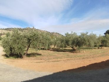 Casa rústica en venda a El Torreón - Cortijo Pretel