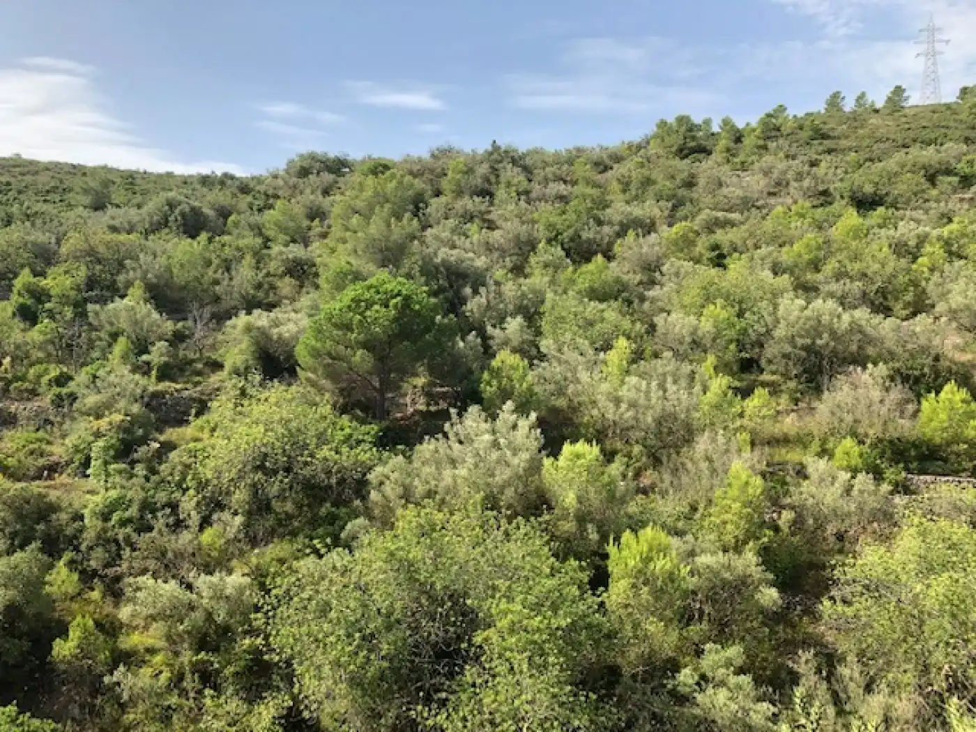 Rural land for sale in Alcanar, imagen 7