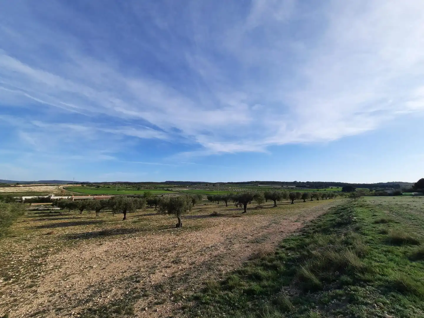 Rustikales Grundstück zum Verkauf in Almansa, imagen 7