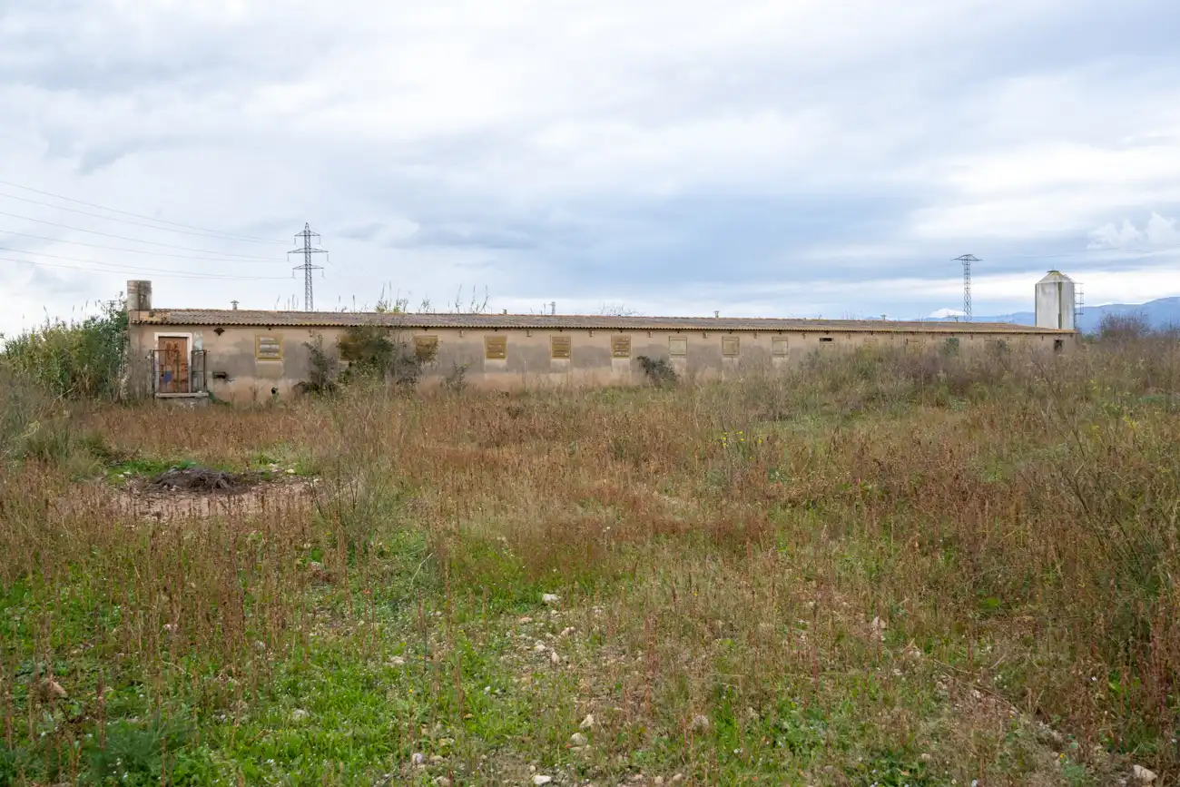 Rural land for sale in Ulldecona, imagen 9