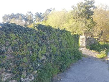 Residential land for sale in Rianxo