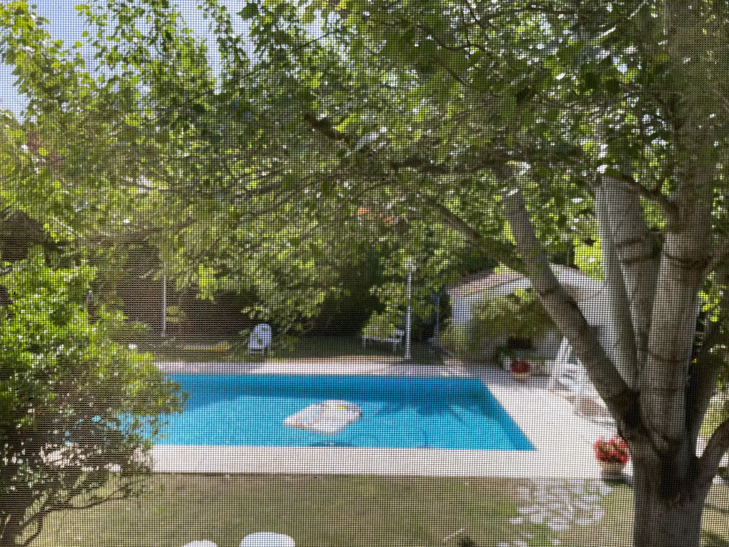 Schwimmbecken von Haus oder Chalet zur Miete in Petrer mit Klimaanlage, Heizung und Privatgarten