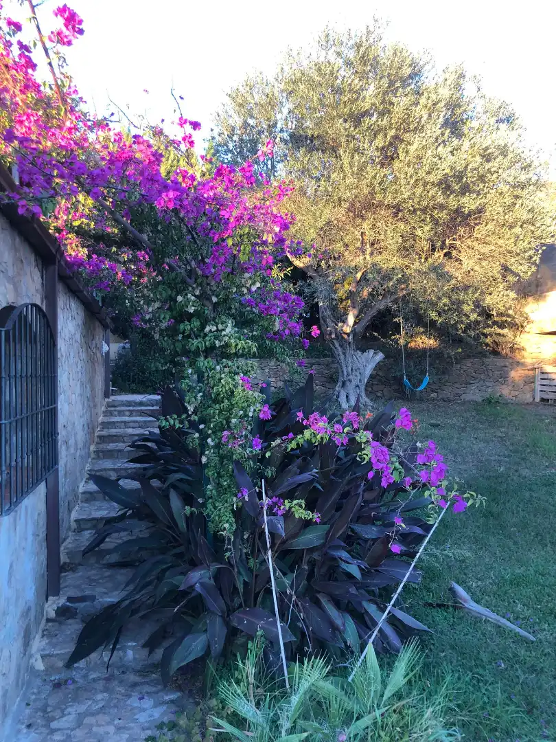 Casa amb jardí en venda a Carrer de Vilajuïga 13, imagen 11