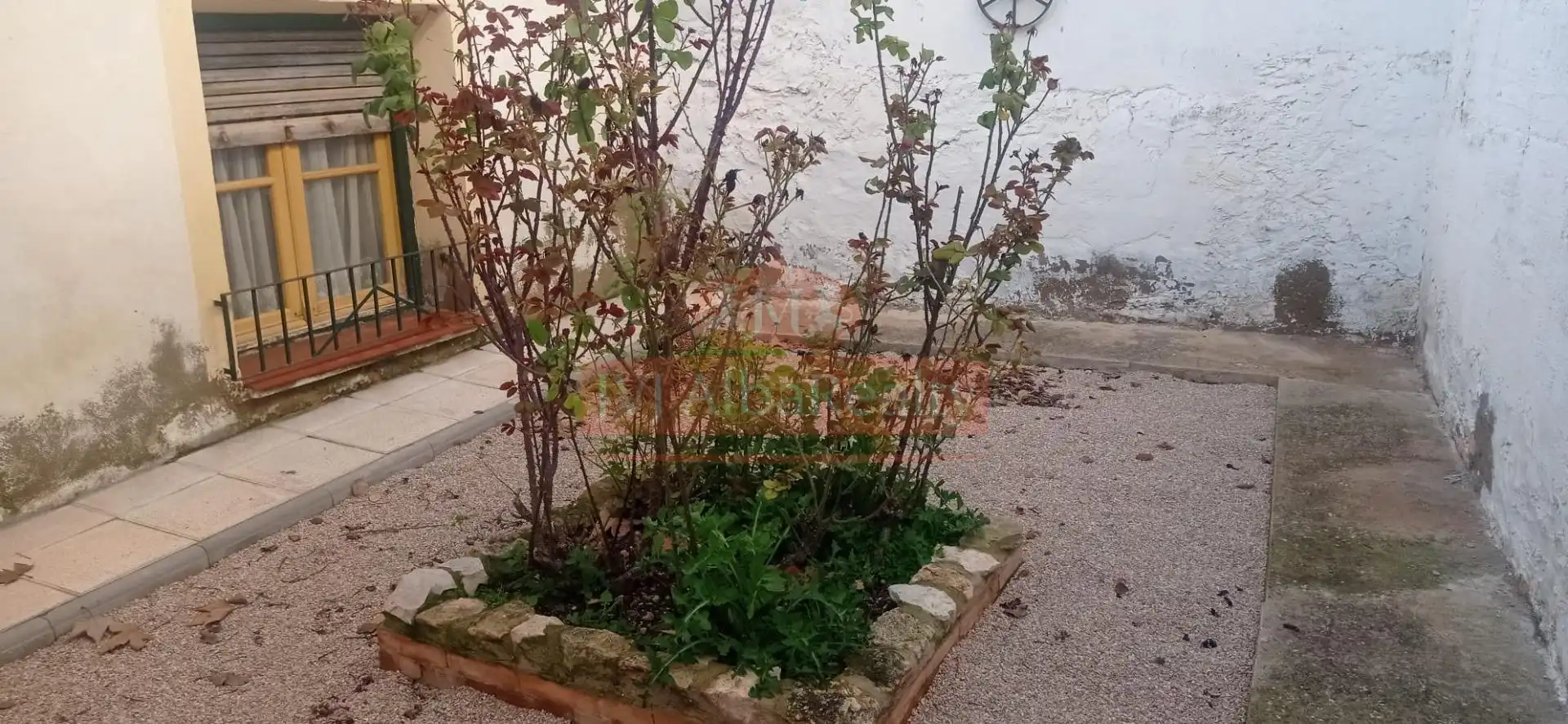Jardín de Finca rústica en venta en Albacete