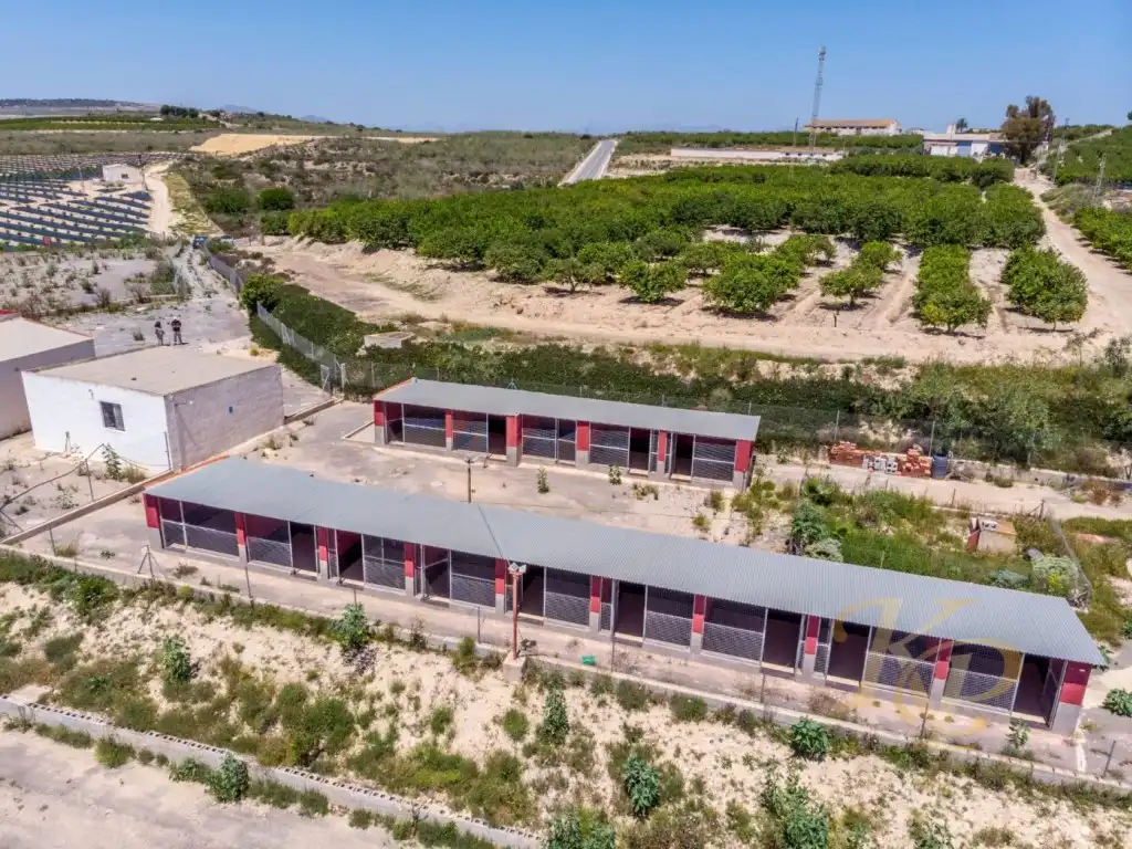 Casa en venta en Los Montesinos, imagen 50