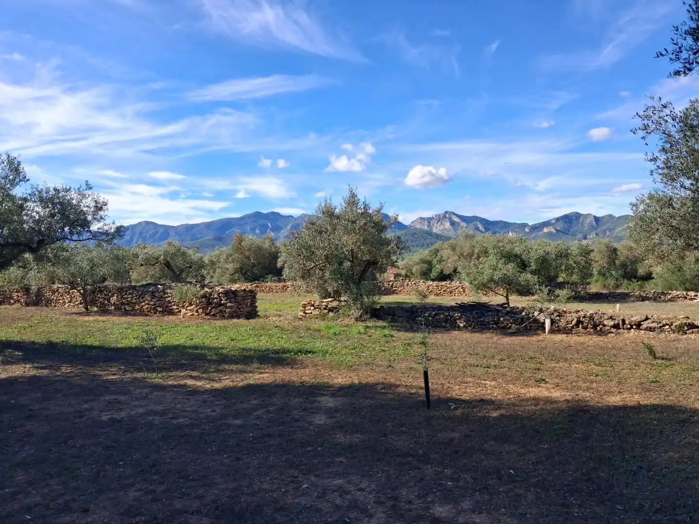 Terrain rustique à vendre à Polígono 6 Paraje 109 LAS PLANAS