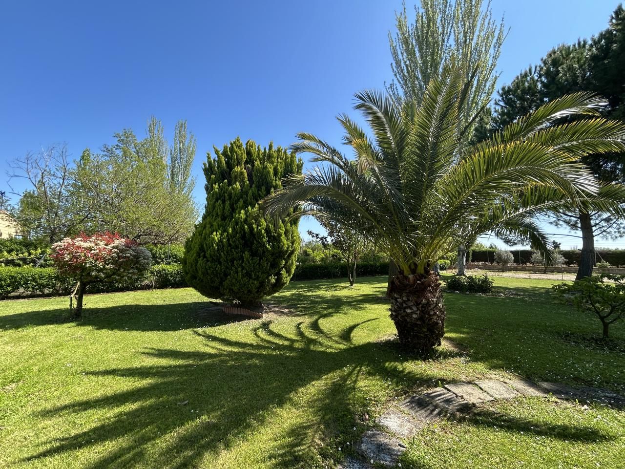 Garden of Country house for sale in Alfaro