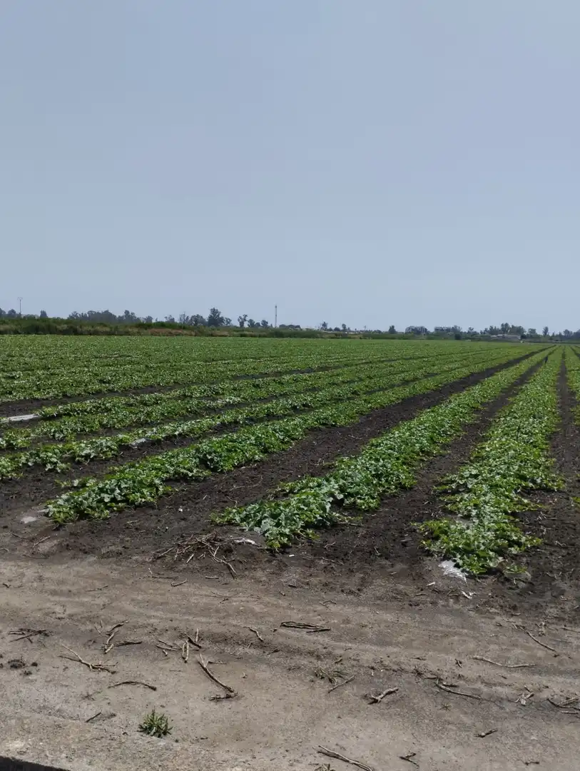 Rural land for sale in N/A, imagen 11