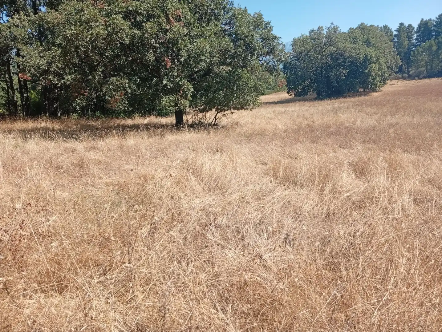 Terreni e lotti in vendita a Villanueva de la Vera, imagen 50