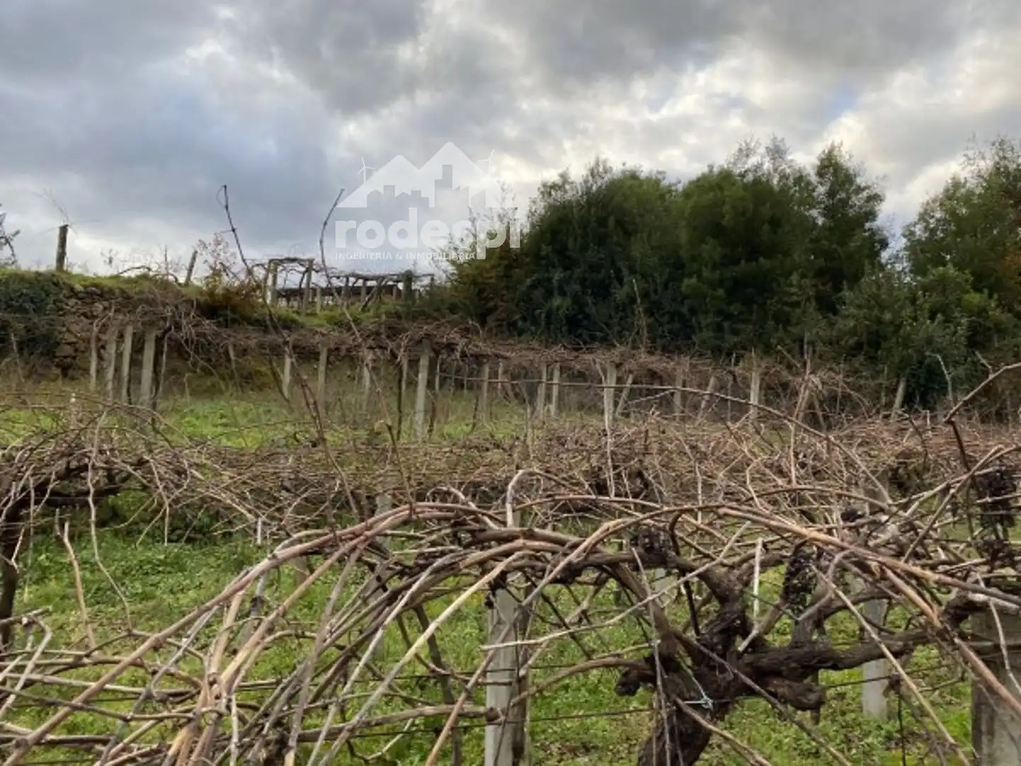 Terreny rústic en venda a A Cañiza, imagen 4