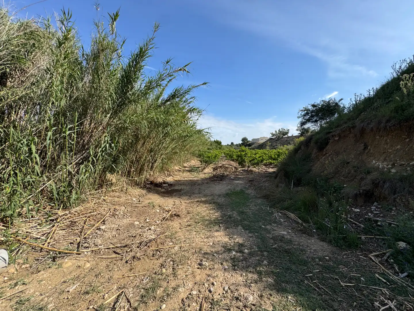Terreno rustico in vendita a Calle 7.Canara 76, imagen 31