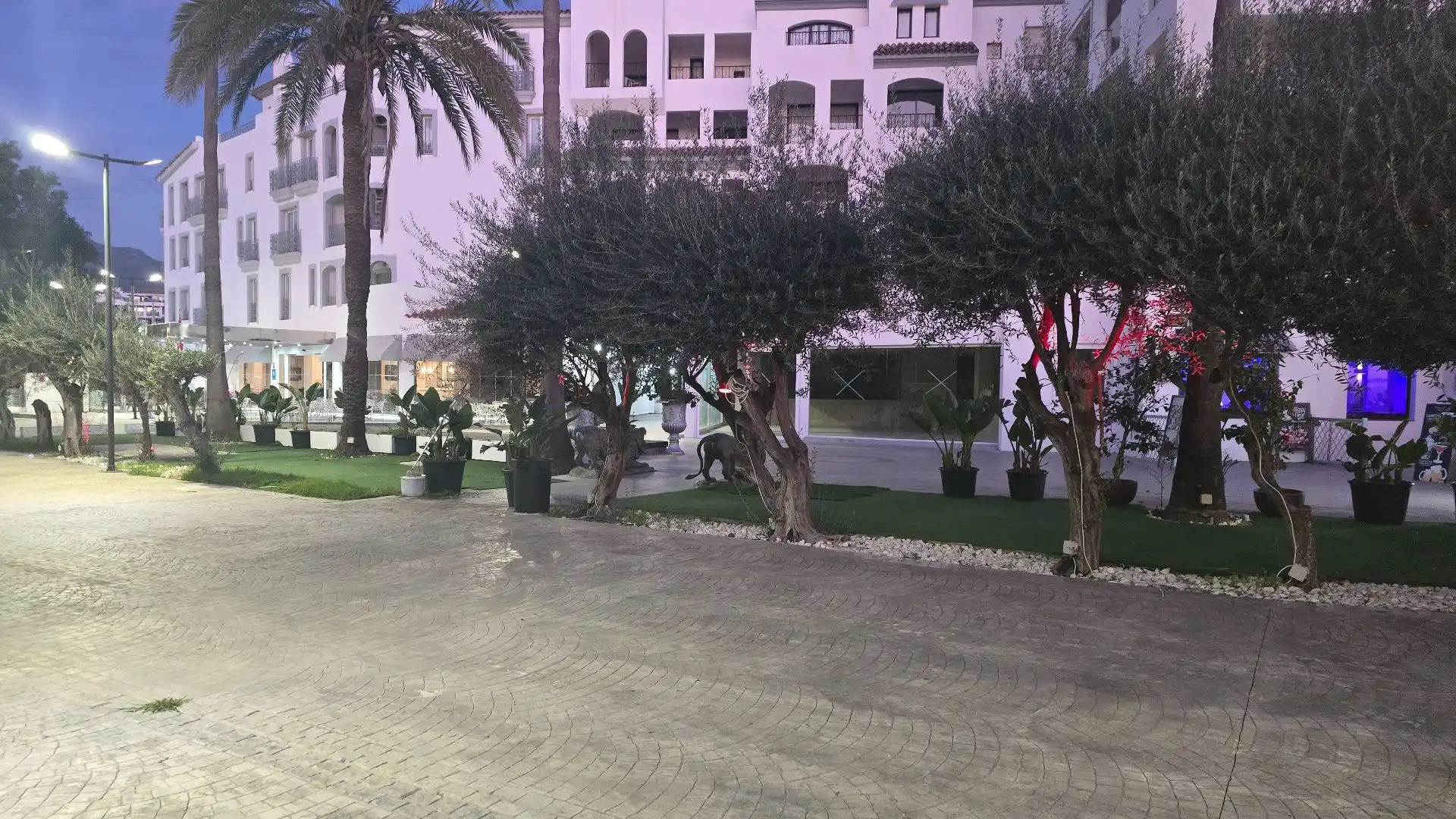 Local comercial en alquiler en Nueva Andalucía, imagen 71