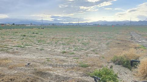 Foto 4 de Residencial en venda a Cerca de Lorbus, Campillo, Murcia