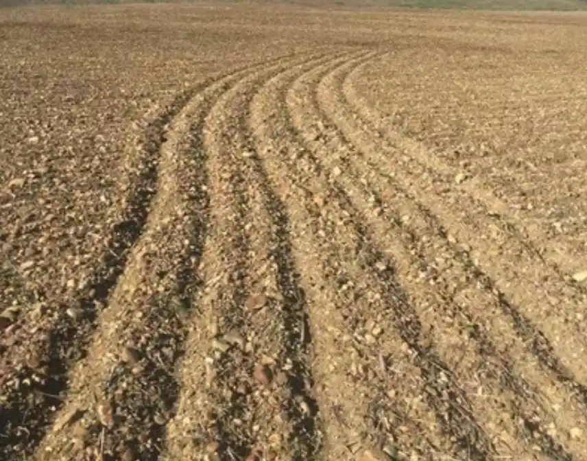Terreny rústic en venda a Moratalla, imagen 3