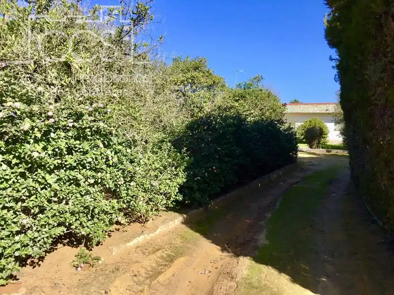 Chalet con piscina en venta en Sanlúcar la Mayor, imagen 22
