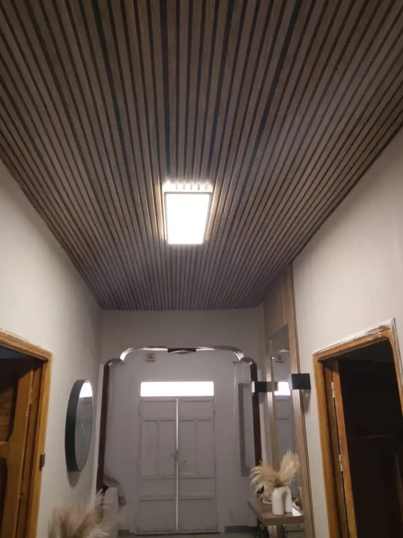 Maison à vendre à Santa Cruz de Mudela, imagen 7